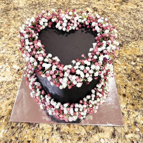 ABAJI Tiny Babys Breath Artificial Flowers Gypsophila Real Touch Flowers for Wedding Party Home Garden Decoration 12 inch in Length Small and Short - Image 3