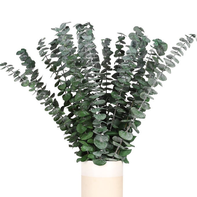 REAL EUCALYPTUS STEMS 20PCS SHOWER EUCALYPTUS HANGING 17INCH DRIED EUCALYPTUS SPRIGS GREENERY PLANT FOR SHOWER WEDDING FESTIVAL HOME SPRING DECORATION