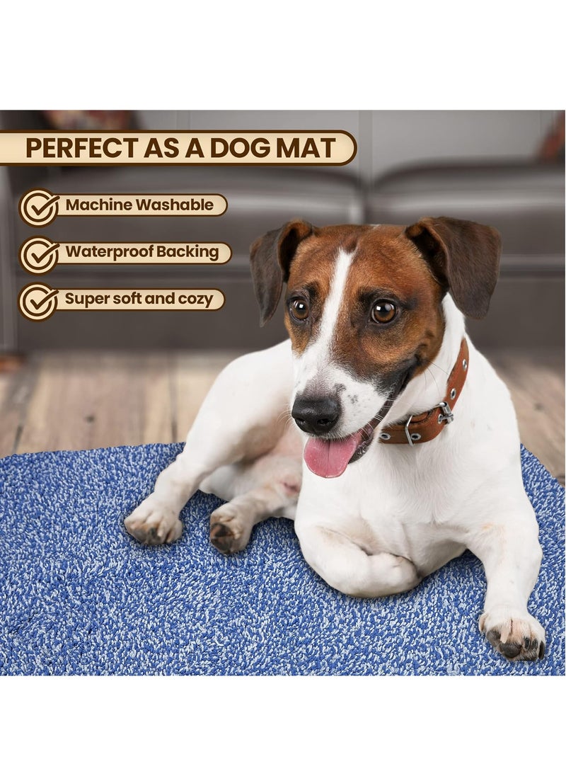 RATSAW Door Mat Indoor Entrance 40cm X 60cm Entryway Rugs Indoor Super Absorbent Washable Microfiber Rugs for Entryway Non Slip Door Mat Indoor Entrance Indoor Door Mat  - Image 2