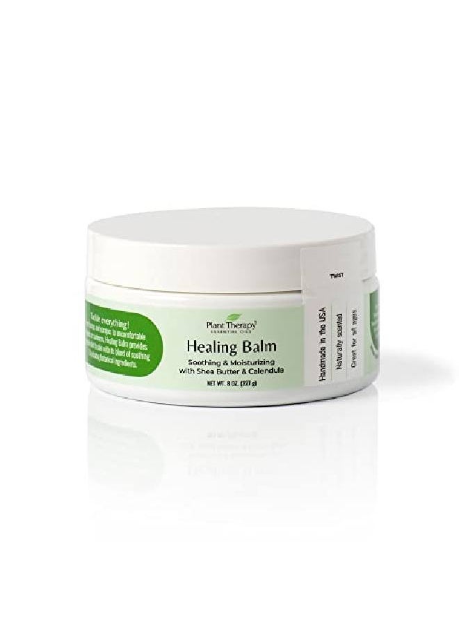 Healing Balm 8 Oz 100% Pure & Natural Nutrientrich Botanical Formula Soothing Ingredients: Shea Butter Tamanu Oil And Calendula Extract - pzsku/Z1E7F85C9AD043C7C1726Z/45/_/1662466647/621788b3-297f-4fb5-93f3-26c3d157f2b2