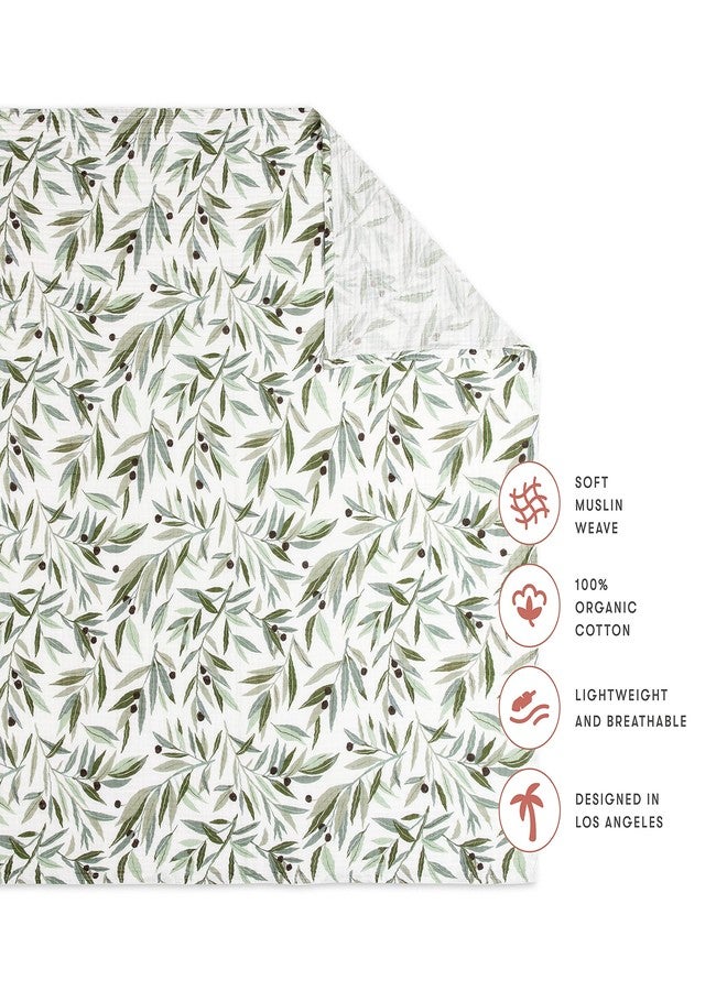 Babyletto 100% Organic Cotton Swaddle, GOTS-Certified, Ultra-Soft and Breathable Muslin - Olive Branches - Image 2