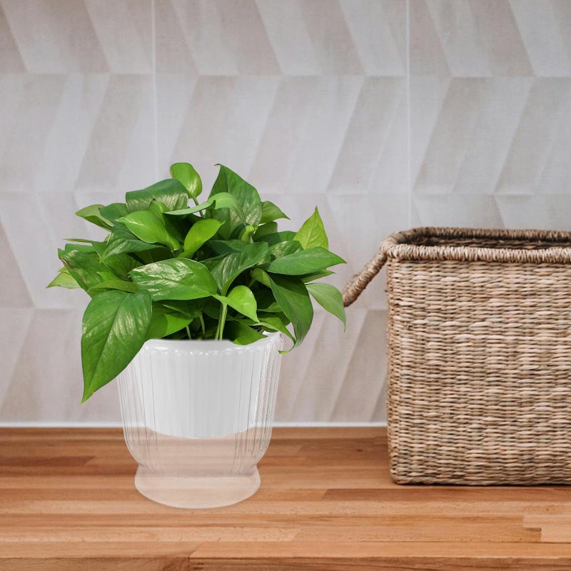 Self Watering Planter Pot for Indoor Plants with Drainage Hole Lazy Flower Pot for Home Office Gardening - Image 5