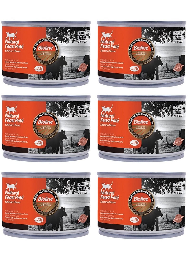 Bioline Natural Feast Pate Cat Can Salmon Flavor 170g * (Pack Of 6 )