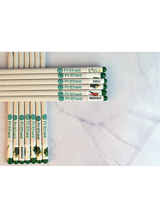 Prithwe Ecofriendly Plantable Seed Black Pencils Corporate Gift Pack - Pack Of 20 Pencils (2 X 10 Sleeves) - Image 4