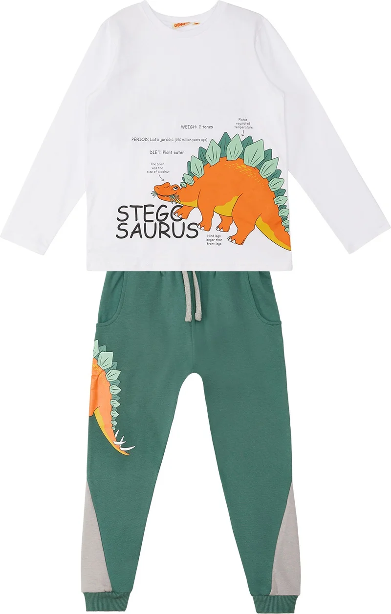 Denokids Stegosaurus Boy T-Shirt Pants Set