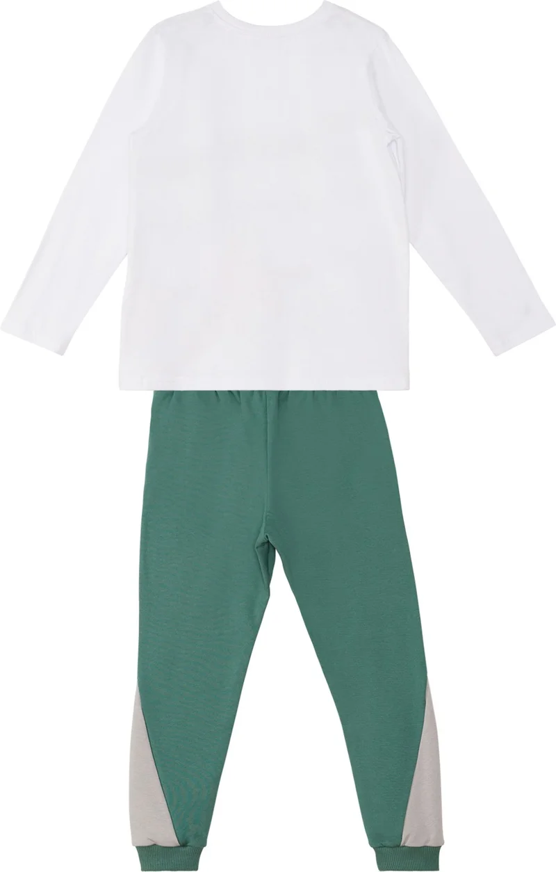 Denokids Stegosaurus Boy T-Shirt Pants Set