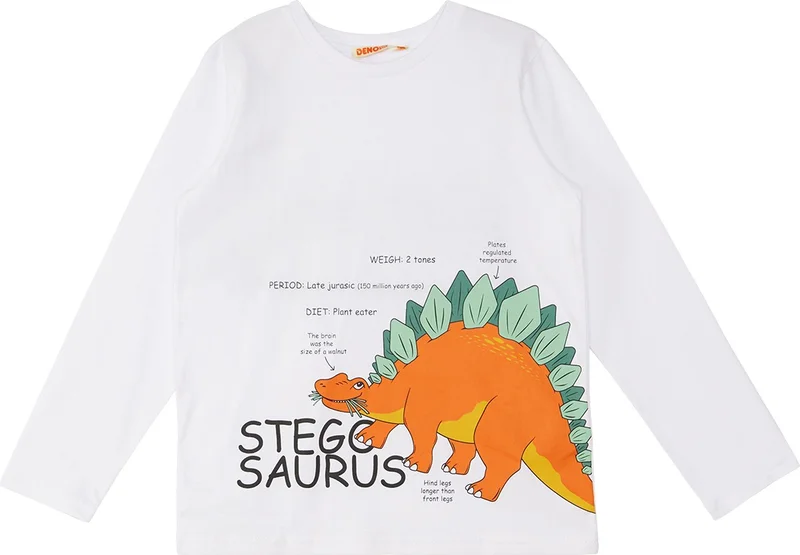 Denokids Stegosaurus Boy T-Shirt Pants Set