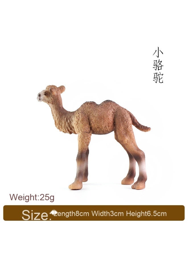 NIBEMINENT Realistic Wild Animal Double-Humped Camel Plastic Solid Static Toy Figurine for Kids Gifts