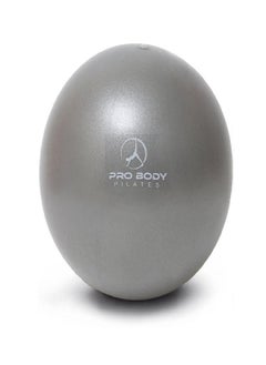 Pilates Ball Small Exercise Ball, 9 Inch Bender Ball, Mini Soft Yoga Ball, Workout Ball For Stability, Barre, Fitness, Ab, Core, Physio And Physical Therapy Ball At Home Gym & Office (Silver)