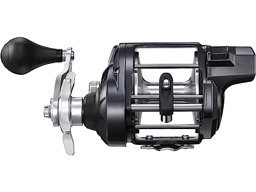 Shimano TEKOTA A Conventional Reels TEK800PGLCA Fishing - Image 3