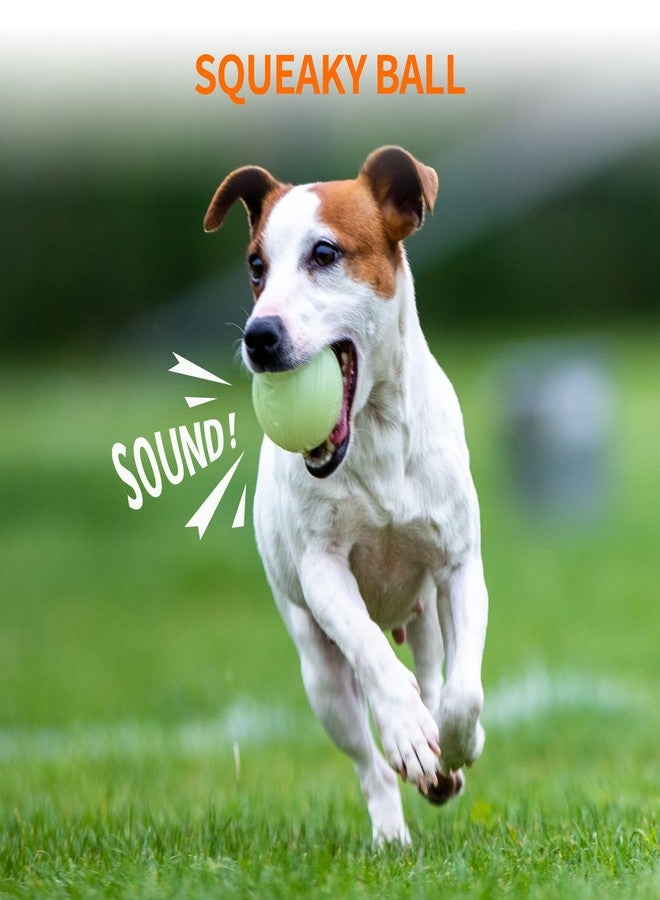 SKIPDAWG Squeaky Glow Dog Ball, Light up Dog Ball Glow in The Dark, Interactive Toys for Dogs Indoor/Outdoor Exercise, Durable TPR Fetch Pet Toys - Image 5