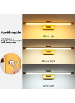 HUA QIANG WANG Bathroom LED Mirror Front Light Gold Vanity Light Fixture with Switch, 15W 60CM Cabinet Picture Wall Lights, 3-Color Indoor Lighting Wall Sconce Bedside Reading Lamp  - Image 3