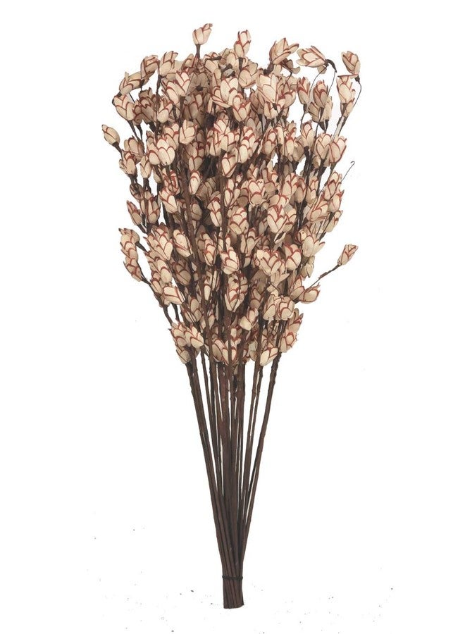 CRAFTWAFT Artificial Orchid Dry Floral Bunch (Assorted) - Image 1