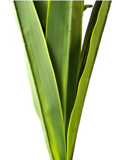 Garden Oasis Landscaping Artificial Pandanus Plant 1.6 Meters – Artificial Tree with Plastic Pot – Plants for Home Indoor – Artificial Tree Outdoor – Fake Plants for Balcony – Artificial Plants Outdoor  - Image 2