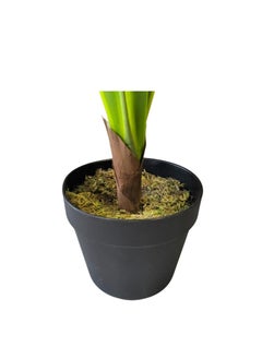 Garden Oasis Landscaping Artificial Pandanus Plant 1.6 Meters – Artificial Tree with Plastic Pot – Plants for Home Indoor – Artificial Tree Outdoor – Fake Plants for Balcony – Artificial Plants Outdoor  - Image 4
