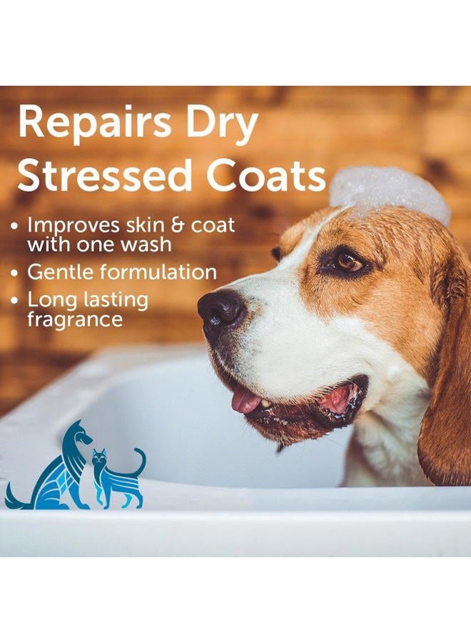 nootie Jojoba Oil Pet Shampoo 16Oz,Sweet Pea & Vanilla, 16-Ounce Dog Shampoo & Cat Shampoo Pet Grooming - Image 2