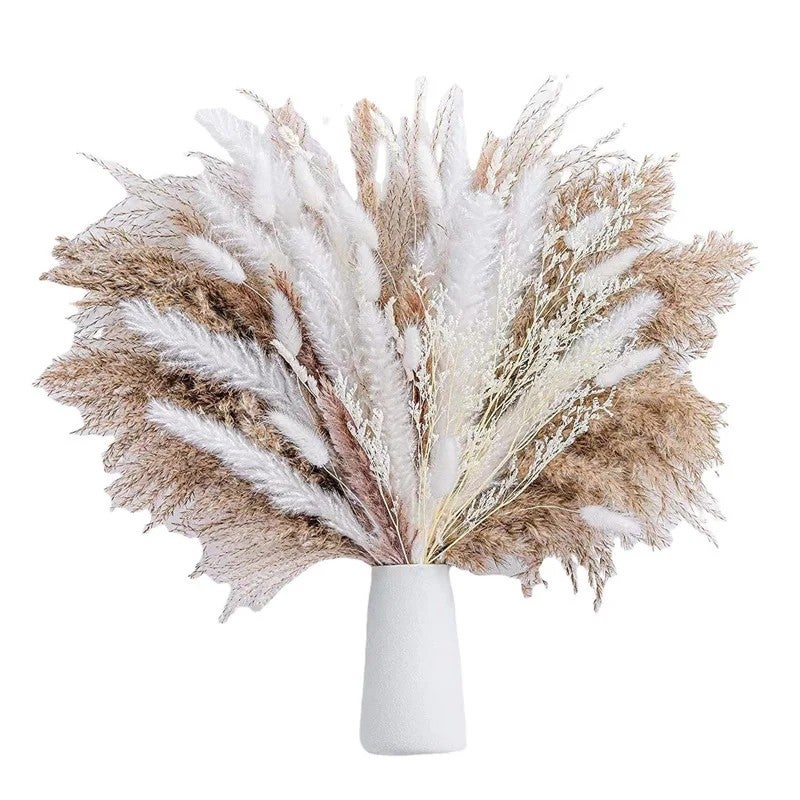 Bluejw Small Reed Dried Flower Bouquet - Rabbit Tail Grass, Pampas Grass & Whisk Bloom Natural Dried Plants for Home Decor, Wedding & Crafting - Image 4