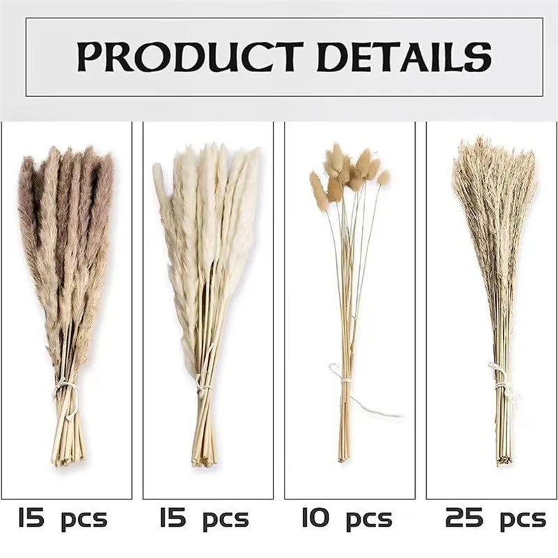 Bluejw Small Reed Dried Flower Bouquet - Rabbit Tail Grass, Pampas Grass & Whisk Bloom Natural Dried Plants for Home Decor, Wedding & Crafting - Image 1
