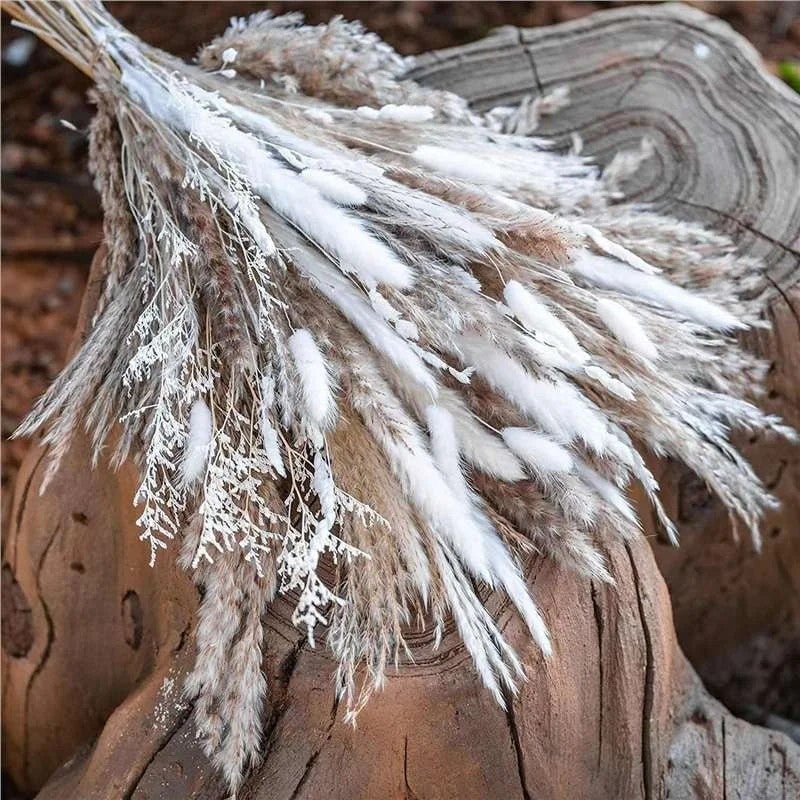 Bluejw Small Reed Dried Flower Bouquet - Rabbit Tail Grass, Pampas Grass & Whisk Bloom Natural Dried Plants for Home Decor, Wedding & Crafting - Image 5