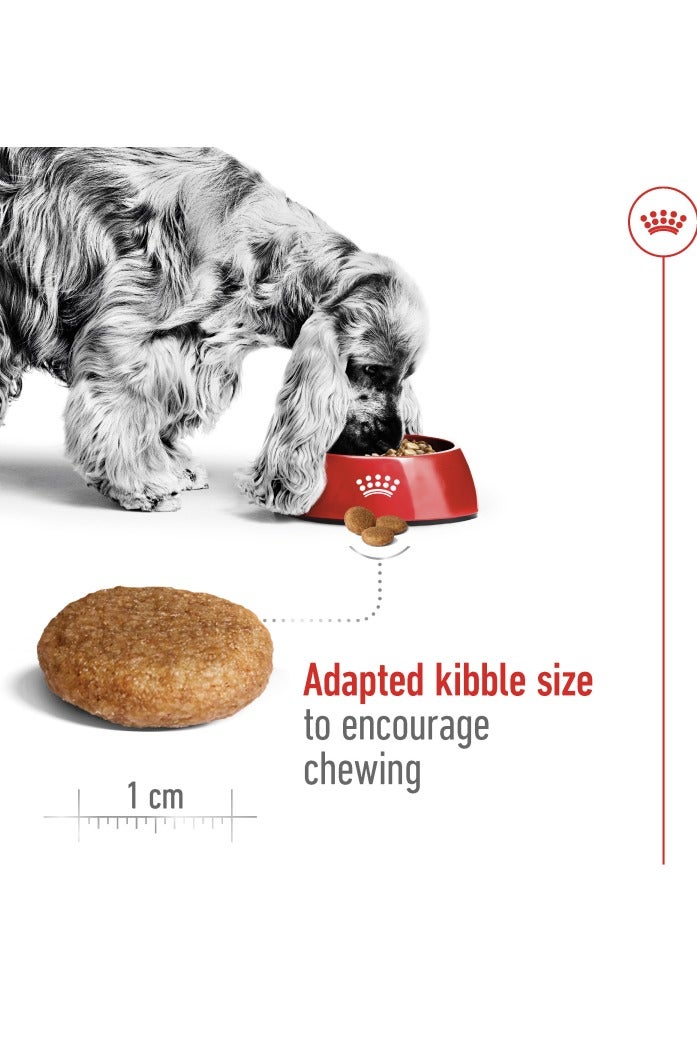 ROYAL CANIN Size Health Nutrition Medium Adult 4 kg - Image 3