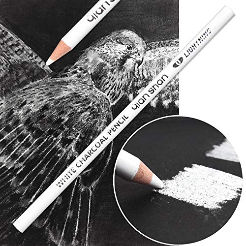 Qianshan 2 Pcs White Sketch Charcoal Pencils -Professional Hight Quality Sketch Highlight White Charcoal Wooden Pencils for Artist Drawing, Sketching, Blending - Image 4