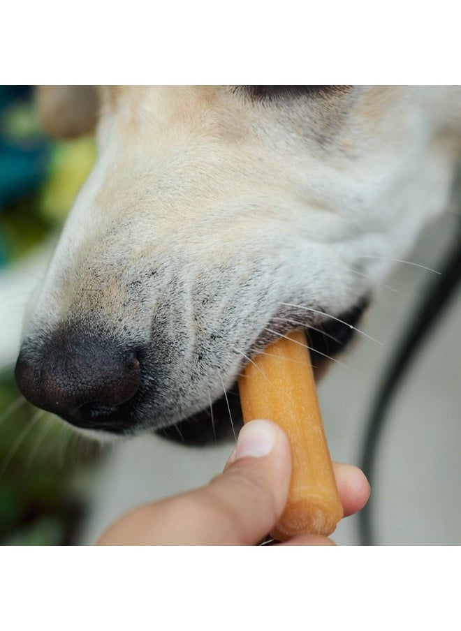 Himalayan Dog Chew Churro Yak Cheese Dog Chews, 100% Natural, Long Lasting, Gluten Free, Healthy & Safe Dog Treats, Lactose & Grain Free, Protein Rich, For All Breeds, Soft, Chicken Flavor, 4 Pack - pzsku/Z1E92BA770F70E07A9739Z/45/_/1737031557/ec645ca5-e11b-4c51-8310-a7402672d6d6