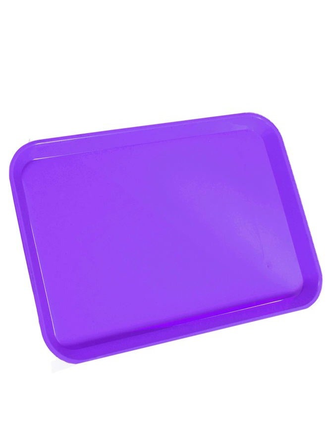 LA MIERE Autoclavable Dental Procedure Tray, Flat With Lock, Size B (Ritter), B-Lok Plastic Trays Instruments, 13.25 X 9.75 0.875 in. (1, Purple) - Image 1