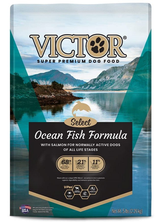فيكتور طعام كلاب ممتاز للغاية - Select - Ocean Fish Formula - طعام جاف خالٍ من الجلوتين للكلاب النشطة بشكل طبيعي في جميع مراحل الحياة، 5 أرطال - Image 1