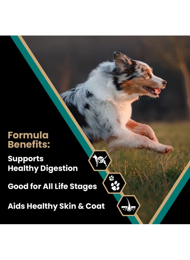 فيكتور طعام كلاب ممتاز للغاية - Select - Ocean Fish Formula - طعام جاف خالٍ من الجلوتين للكلاب النشطة بشكل طبيعي في جميع مراحل الحياة، 5 أرطال - Image 2