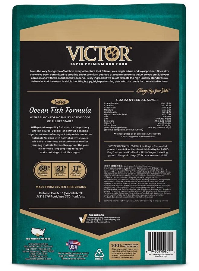 فيكتور طعام كلاب ممتاز للغاية - Select - Ocean Fish Formula - طعام جاف خالٍ من الجلوتين للكلاب النشطة بشكل طبيعي في جميع مراحل الحياة، 5 أرطال - Image 3