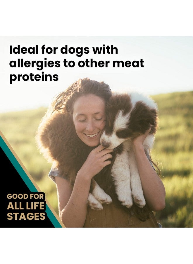 فيكتور طعام كلاب ممتاز للغاية - Select - Ocean Fish Formula - طعام جاف خالٍ من الجلوتين للكلاب النشطة بشكل طبيعي في جميع مراحل الحياة، 5 أرطال - Image 5