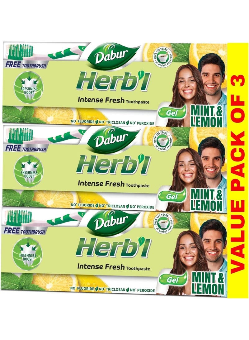 دابر معجون أسنان دابور هيربال إنتنس جل برائحة منعشة (3 عبوات × 150 جم + فرشاة أسنان) | بمزيج من النعناع والليمون | معجون أسنان جل برائحة منعشة طبيعية لنفس منعش | عبوة اقتصادية - Image 1