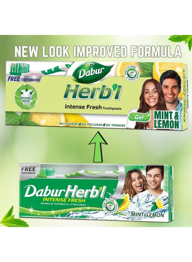 دابر معجون أسنان دابور هيربال إنتنس جل برائحة منعشة (3 عبوات × 150 جم + فرشاة أسنان) | بمزيج من النعناع والليمون | معجون أسنان جل برائحة منعشة طبيعية لنفس منعش | عبوة اقتصادية - Image 2