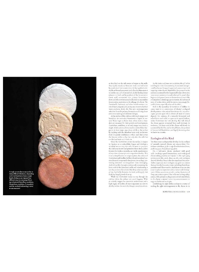 Milk Into Cheese: The Foundations of Natural Cheesemaking Using Traditional Concepts, Tools, and Tec - Image 5