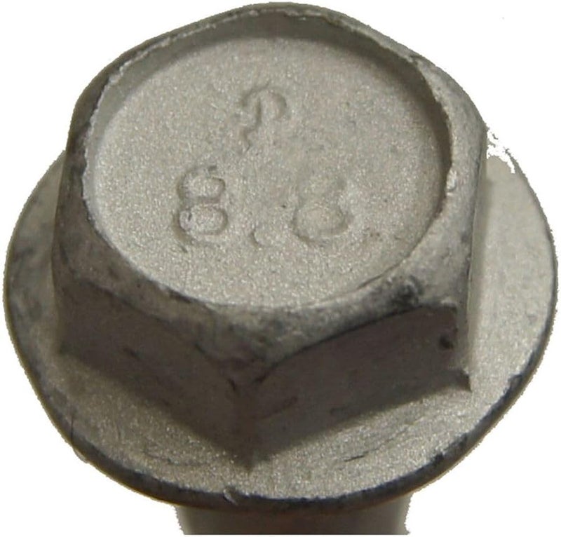 M8 1 25mm درجة 8 براغي بخطوة خيطية 8 فضية عبوة من 5 - Image 4