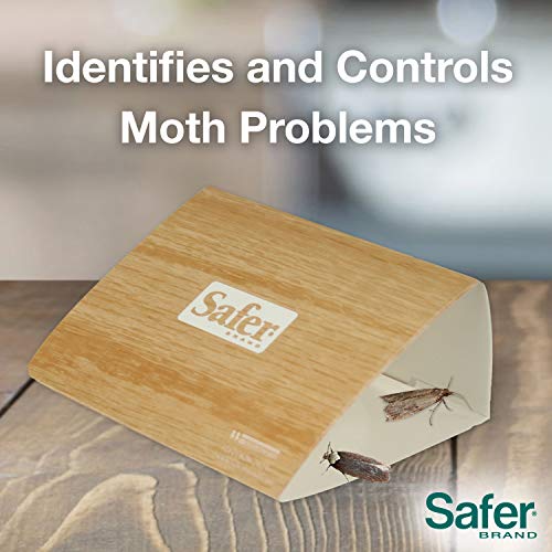 Safer Brand 07270 Clothes Moth Alert Trap - Image 5