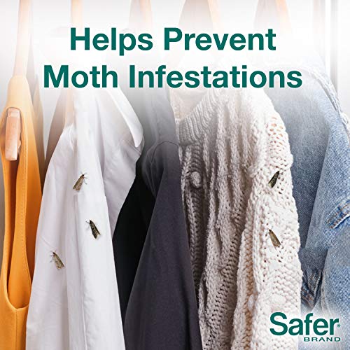 Safer Brand 07270 Clothes Moth Alert Trap - Image 3