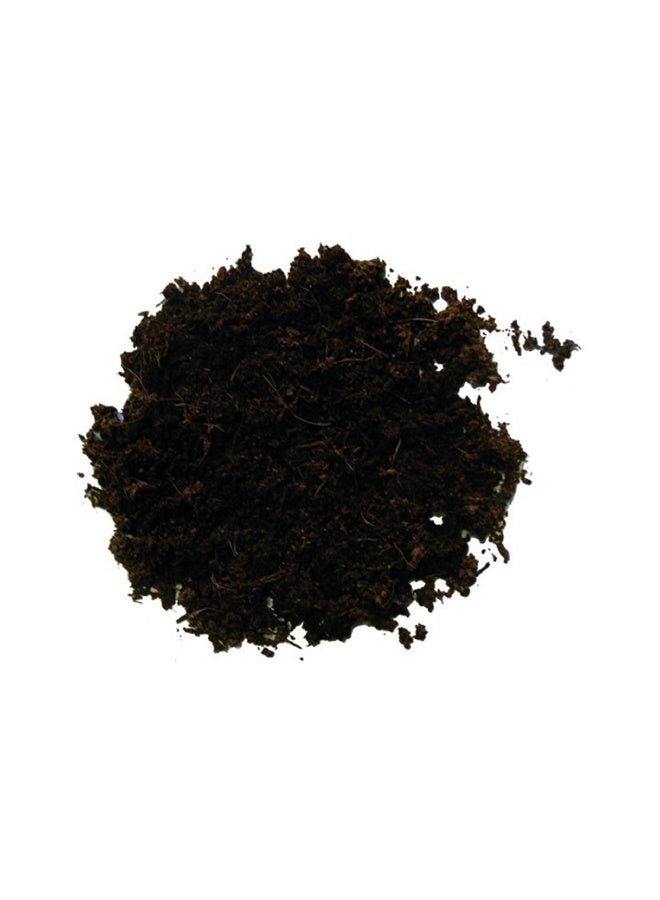 Hobby Terrano Forest Substrate - 4L