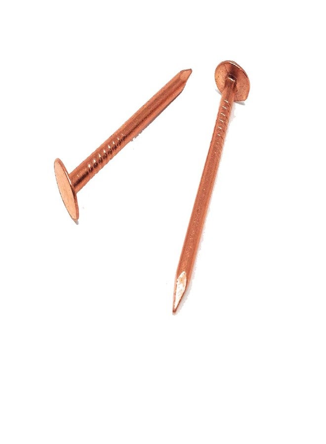Achleshwar Copper Vastu Nails | Pure Copper Energy Correction Nails for Pooja & Vastu Remedies | Removes Negative Energy & Enhances Positivity | Copper | Pack of 10 - Image 5