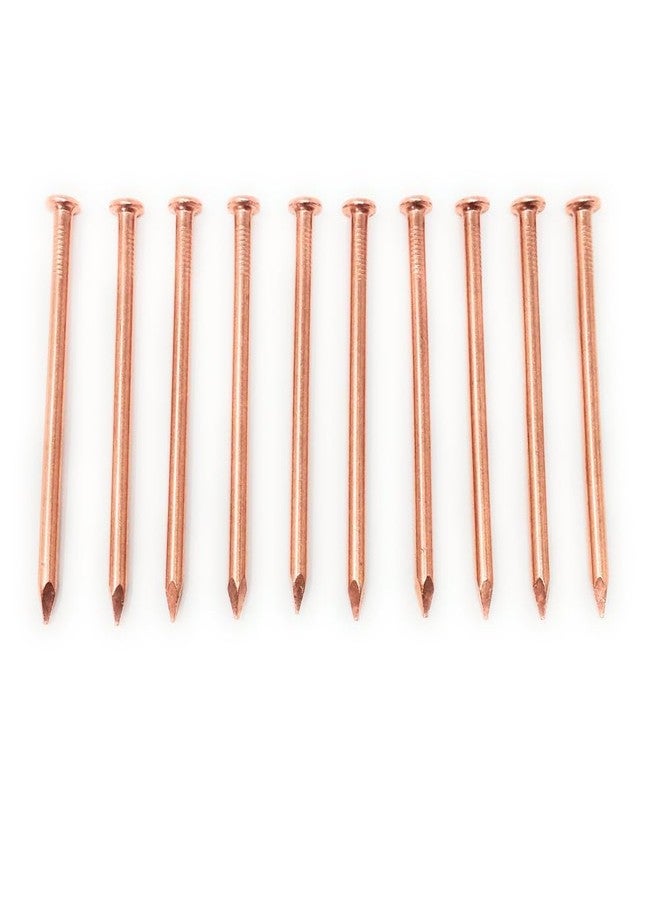 Achleshwar Copper Vastu Nails | Pure Copper Energy Correction Nails for Pooja & Vastu Remedies | Removes Negative Energy & Enhances Positivity | Copper | Pack of 10 - Image 1