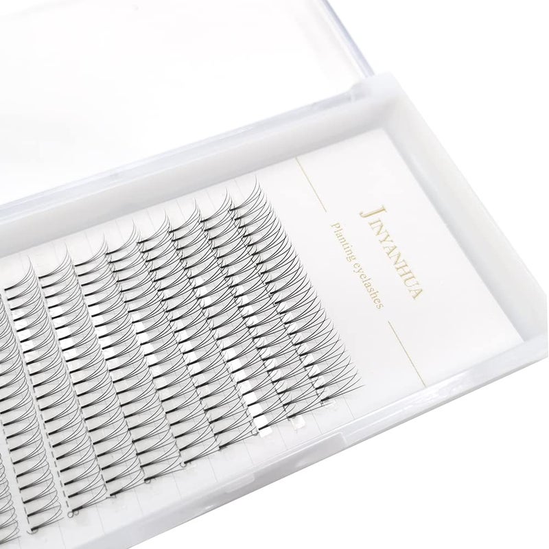 Soft Natural Premade Volume 2D Fans Eyelash Extension 0.10 Thickness 8-14mm Handmade Premade Cluster Volume Fans Faux Mink Lashes 3d (11mm, 3D-0.10-C)