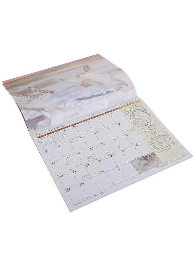 The 2022 Old Farmer's Almanac Country Calendar - Image 5