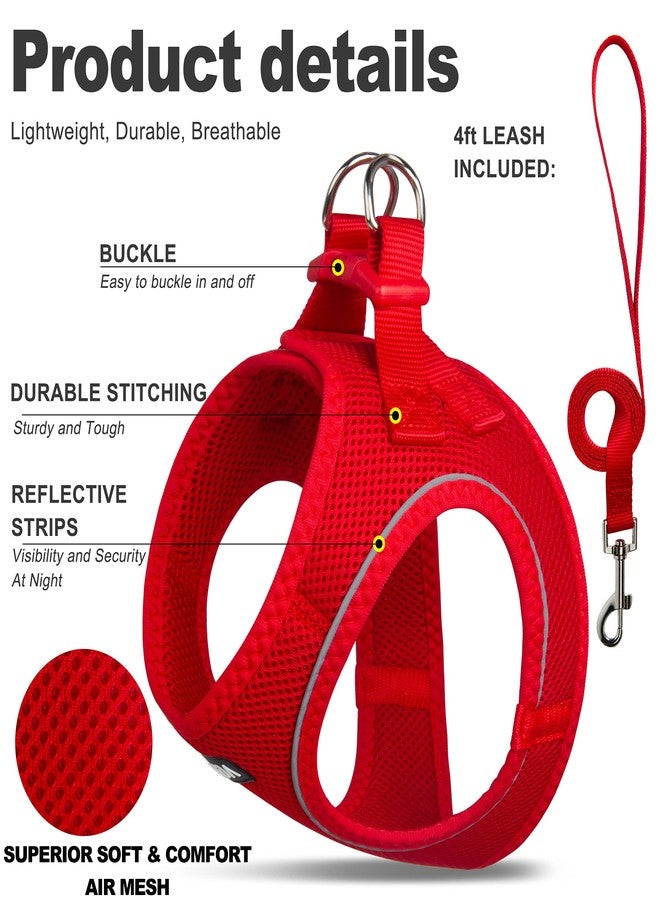Fida Comfy Dog Harness with Leash, Soft Puppy Vest Escape Proof, Breathable Lightweight Soft Mesh, Adjustable Reflective Step-in Harness for Cat & Extra-Small Pet (XS, Red) - Image 2