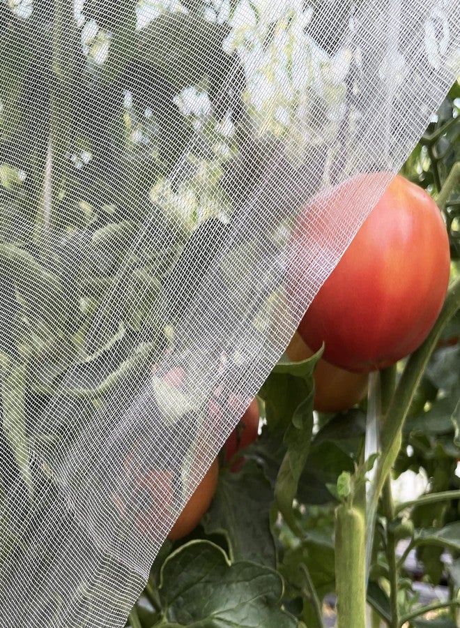 شبكة حدائق فائقة النعومة من ميوليكيت، مقاس 4 × 10 أقدام، لحماية النباتات من الآفات، وتغطية الشرفات من الطيور والبعوض، وحماية الأشجار والخضراوات، وشبكات صفوف البيوت الزجاجية للفاكهة والحدائق. - Image 1