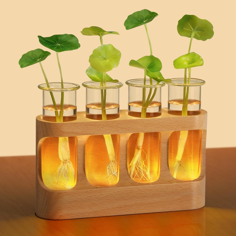 sikmcle Plant Propagation Station With Led Light - Glass Test Tube Vases & Beech Wood Desk Decor  Wooden Stand Terrarium For Indoor Home Office  Plant Gifts For Women Plant Lovers - Image 1