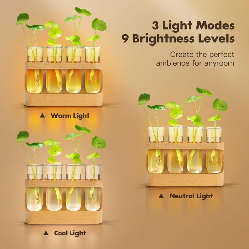 sikmcle Plant Propagation Station With Led Light - Glass Test Tube Vases & Beech Wood Desk Decor  Wooden Stand Terrarium For Indoor Home Office  Plant Gifts For Women Plant Lovers - Image 2