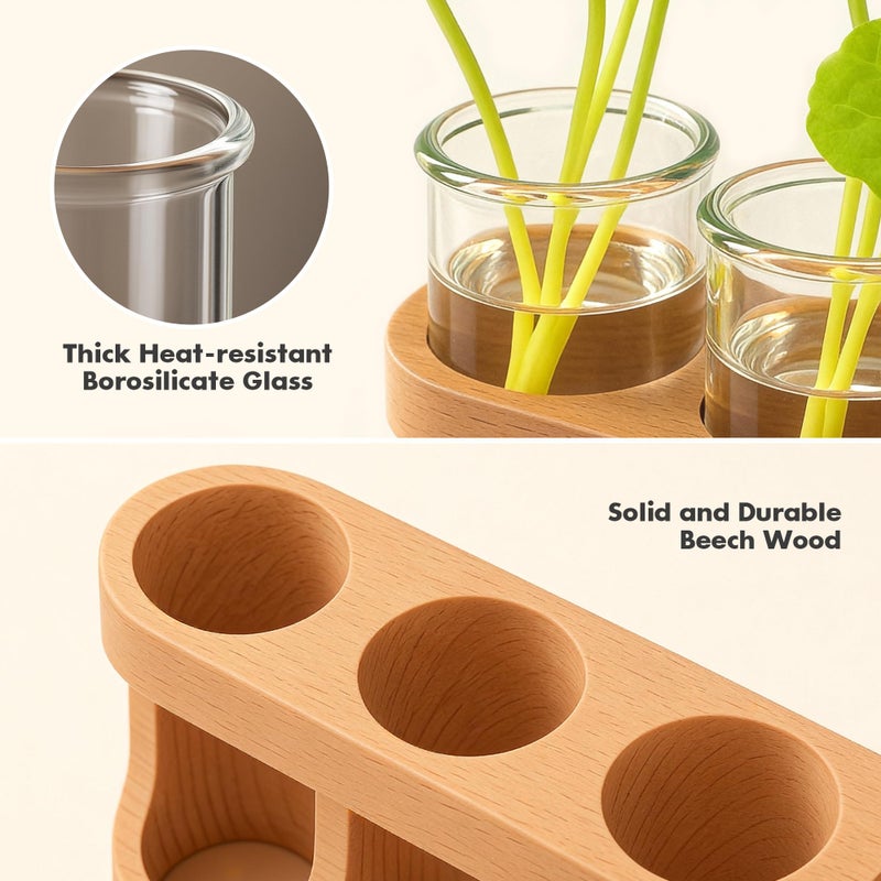 sikmcle Plant Propagation Station With Led Light - Glass Test Tube Vases & Beech Wood Desk Decor  Wooden Stand Terrarium For Indoor Home Office  Plant Gifts For Women Plant Lovers - Image 4