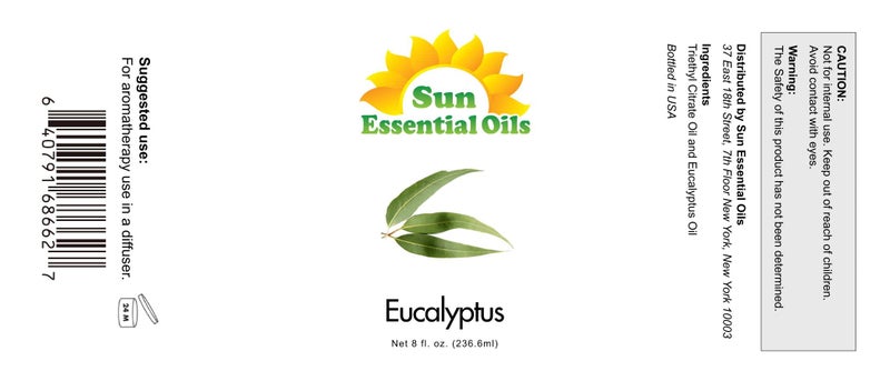 Sun Essential Oils 8oz - Eucalyptus Essential Oil - 8 Fluid Ounces - Eucalyptus Oil 8 oz - Image 2