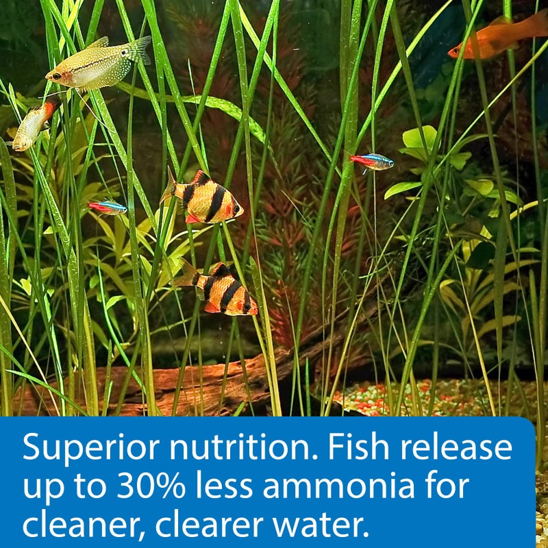 API TROPICAL PELLETS Sinking Pellets Fish Food 4.2-Ounce Container, Medium (823B) - Image 4