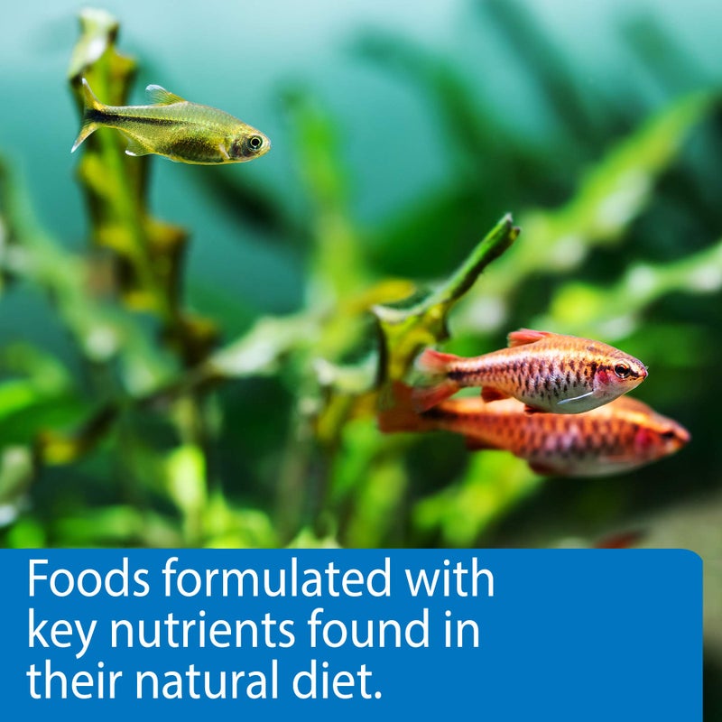 API TROPICAL PELLETS Sinking Pellets Fish Food 4.2-Ounce Container, Medium (823B) - Image 5